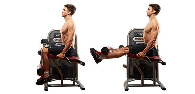 seated knee ext