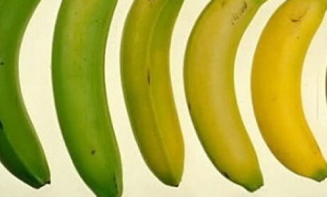 Ποια απ’ αυτές τις μπανάνες είναι η πιο υγιεινή επιλογή και γιατί;