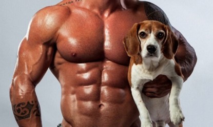 «Μπράτσα και κουτάβια»: Κυκλοφόρησε το ημερολόγιο που συνδυάζει bodybuilders με ζώα για υιοθεσία