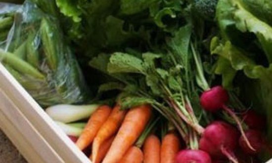 Αφαιρέστε αποτελεσματικά τα φυτοφάρμακα από φρούτα και λαχανικά!