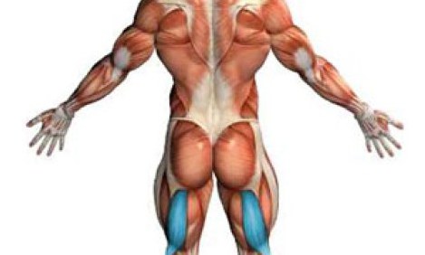 Ασκήσεις ενδυνάμωσης οπίσθιων μηριαίων μυών