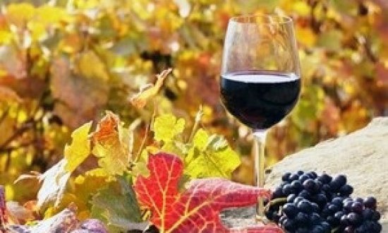 5 κρασιά που ταιριάζουν με το φθινόπωρο