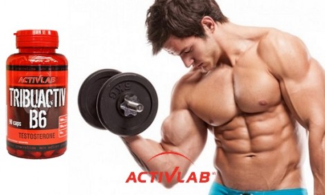 Αντοχή και δύναμη στους μύες μόνο με το Activlab Tribuactiv B6!