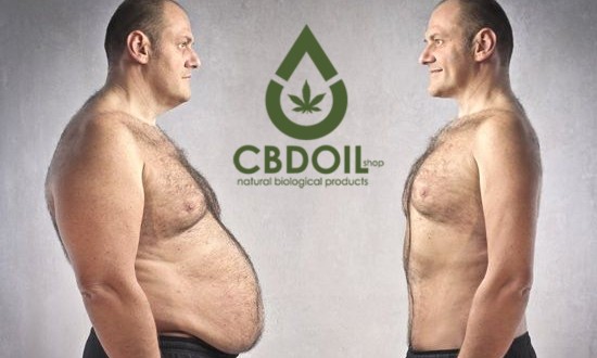 CBD και παχυσαρκία: Η φυσική ουσία που αλλάζει ζωές!