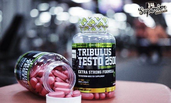 Tribulus Testo 2500, για ενίσχυση τεστοστερόνης και «τουρμπάτες» επιδόσεις