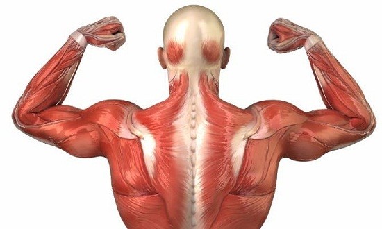 Πώς να ανακουφίσετε τους πιασμένους μύες