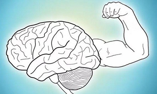 Εγκέφαλος: Πρώτα εγώ, μετά οι μύες